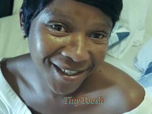 TinyToosh