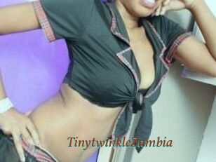 TinytwinkleZambia