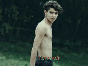 Tony_wolf