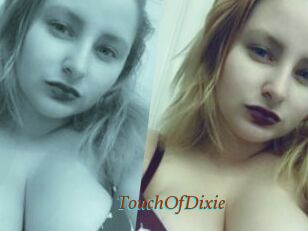 TouchOfDixie