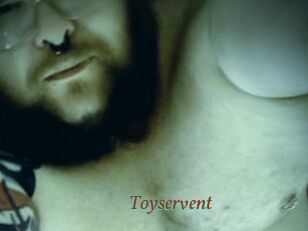 Toyservent