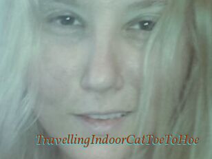 TravellingIndoorCatToeToHoe