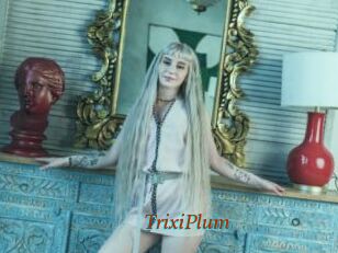TrixiPlum