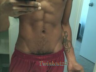 Twinkcut22