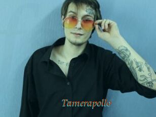 Tamerapollo