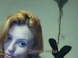 Taurina_sativa