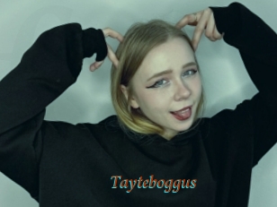 Tayteboggus