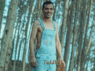 Teddhill