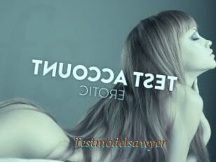 Testmodelsawyer