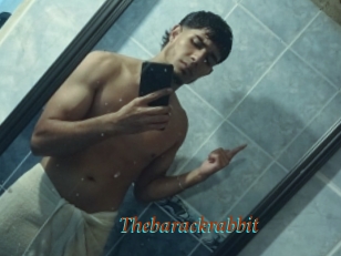 Thebarackrabbit