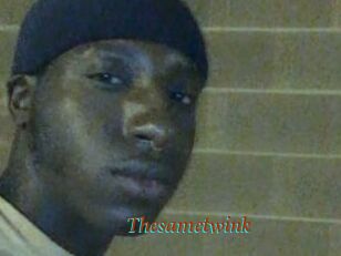 Thesametwink