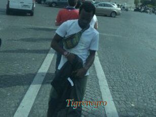 Tigrenegro