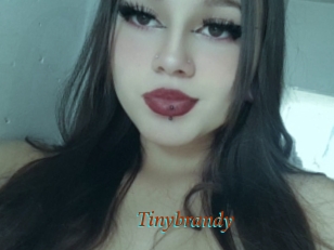 Tinybrandy