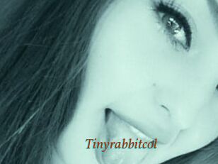 Tinyrabbitcol
