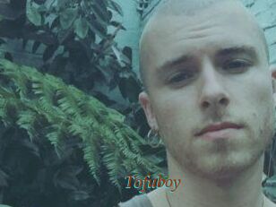 Tofu_boy