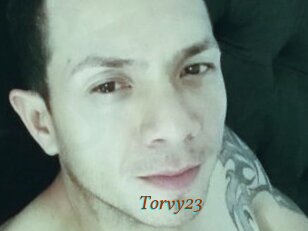 Torvy23