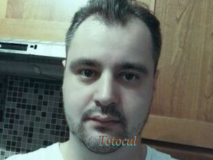 Totocul
