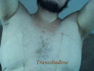 Transshadow