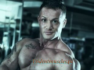 Tridentmuscles4u
