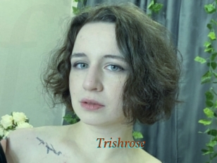 Trishrose