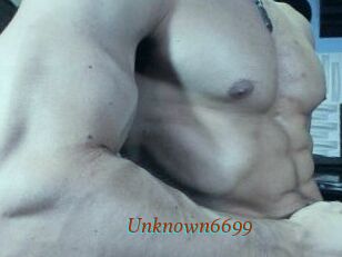 Unknown6699