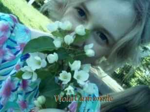 ViolaCamomile