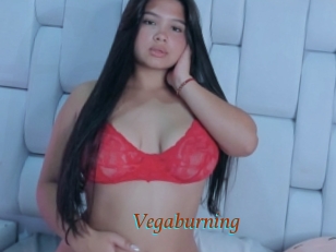 Vegaburning
