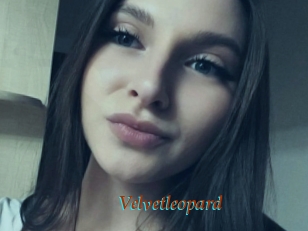 Velvetleopard
