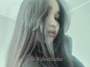 Velvettneko