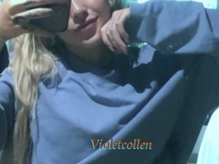 Violetcollen