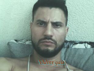 Vldmr_gaus