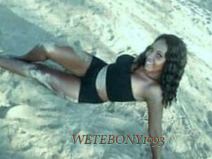 WETEBONY1993