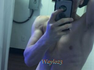 Waylo23