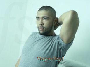 WayneBoyI