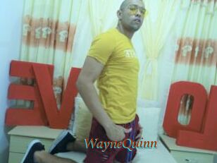 WayneQuinn