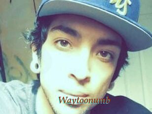 Waytoonumb