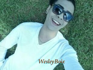 Wesley_Boix