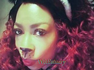 WetEstuary