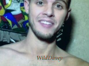WildDavey
