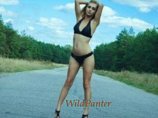WildPanter