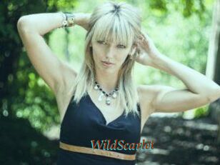 WildScarlet
