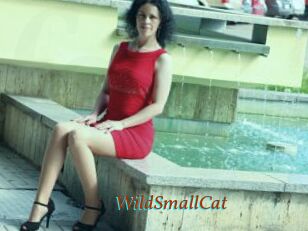 WildSmallCat