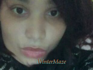 Winter_Maze