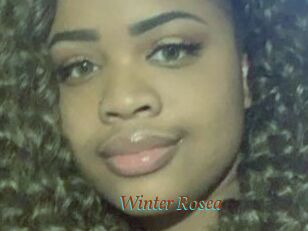 Winter_Rosea