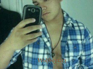 Wolfboy1213