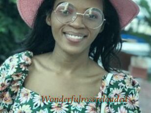 Wonderfulrosereloaded