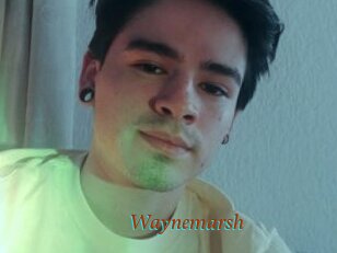 Waynemarsh
