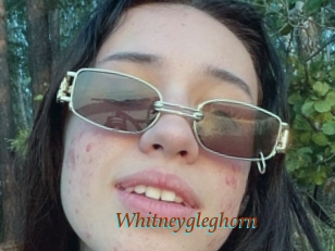Whitneygleghorn