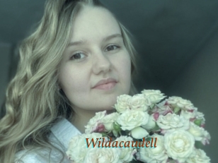 Wildacaudell