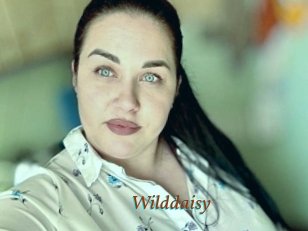 Wilddaisy